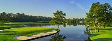 Image result for Cringlewood Club