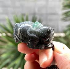 Αποτέλεσμα εικόνας για jade dragon turtle