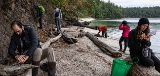 Attēlu rezultāti vaicājumam “Cribraria vulgaris stalked”