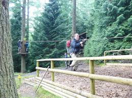 Image result for Go Ape! Whinlatter