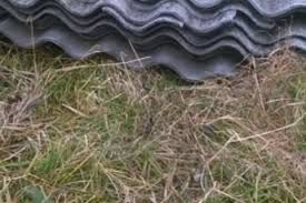 Image result for site:buyreklama.ru/*