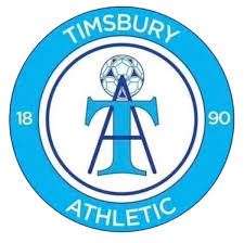 Image result for Timsbury Netball Club