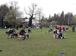 Image result for Alloa Rugby Football Club