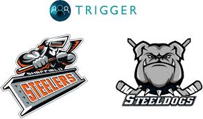 Image result for Sheffield Steelers