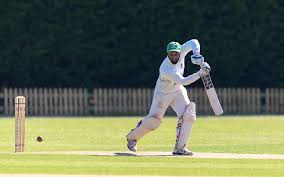Image result for Elthorne Cricket Club