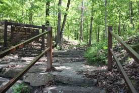 Image result for Dearne Valley Devils