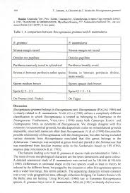 Attēlu rezultāti vaicājumam “Biscogniauxia granmoi”