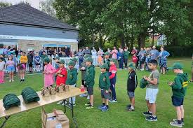 Image result for Three Bridges Cricket Club