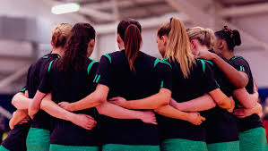 Image result for Red Dragon Netball Team