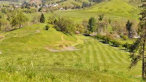 Image result for Craigavon Cougars