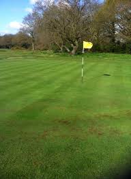 Image result for Thames Ditton & Esher Golf Club