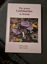 Attēlu rezultāti vaicājumam “Lycogala sphaeroconicum macro”