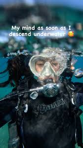 Image result for Exe To Sea Diving