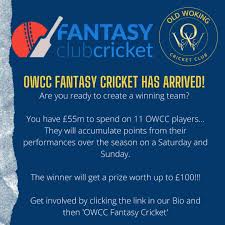 Image result for Old Woking Cricket Club