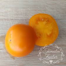 Afbeeldingsresultaat voor caro rich tomato