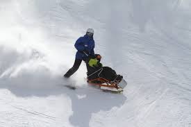Image result for British Ski Club For The Disabled