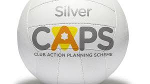 Image result for Icons Netball Club