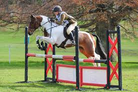 Image result for Fife Riding Club
