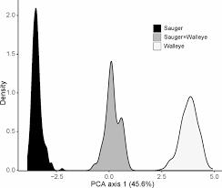 Image result for Sander canadensis/vitreus