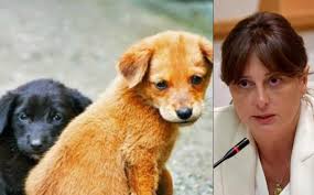 gamravlebis-ის სურათის შედეგი