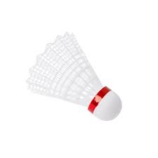 Image result for Shuttles Badminton Club (Frome)