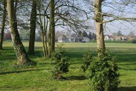 Image result for Bitteswell Cricket Club