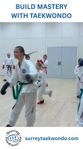 Image result for Surrey Taekwondo