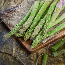 Attēlu rezultāti vaicājumam “Asparagus officinalis”