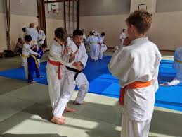 Image result for Hollesley Judo Club, Woodbridge, Suffolk
