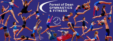 Image result for Forest Of Dean Gymnastics Club