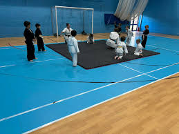 Image result for Junsui Shotokan Karate Do