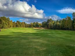 Image result for Abernethy Golf Club