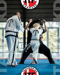 Image result for Bytomic Tae Kwon Do Wokingham