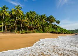 Image result for goa beaches