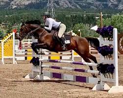 Image result for The Riding Centre