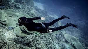 Image result for Crystal Freedivers (London)