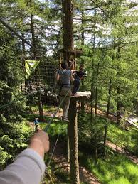 Image result for Go Ape! Whinlatter