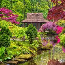 Image result for japanese gardens...