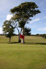 Image result for Whiting Bay Golf Club