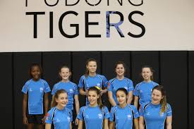 Image result for Sas Netball Club