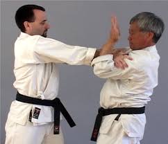 Image result for Katakuri Karate