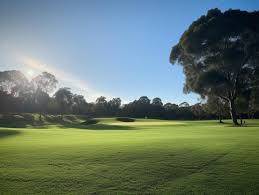 Image result for Thames Ditton & Esher Golf Club