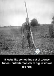 Image result for Property Gun and Punt Club