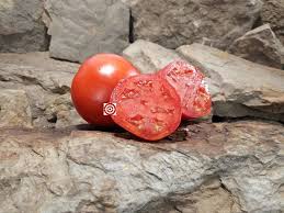 Afbeeldingsresultaat voor amish paste tomato