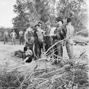 File:North Vietnamese soldiers captured at FSB Balmoral May 1968 ...
