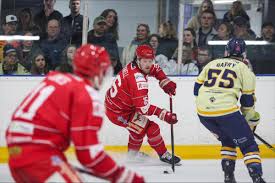 Image result for Swindon Panthers