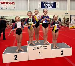 Image result for Forest Of Dean Gymnastics Club