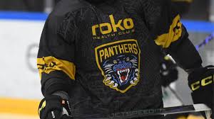 Image result for Nottingham Panthers
