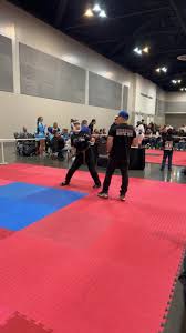 Image result for Villatoro Bushido Martial Arts