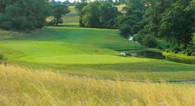 Image result for Greetham Valley Golf Club